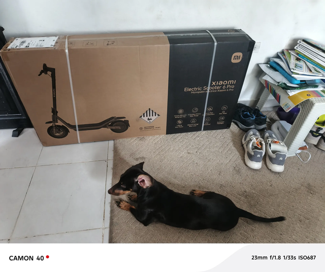 Foto de la compra de Nicol Steche