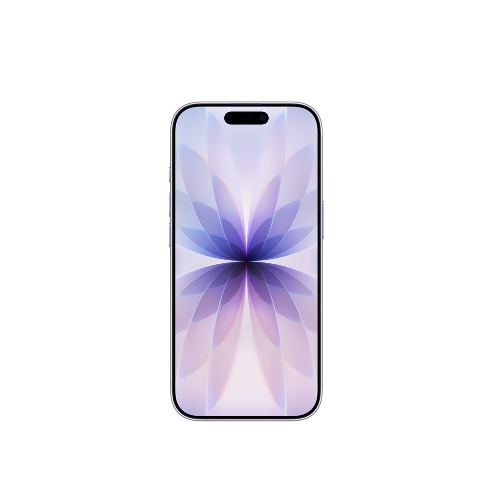 Lavanda