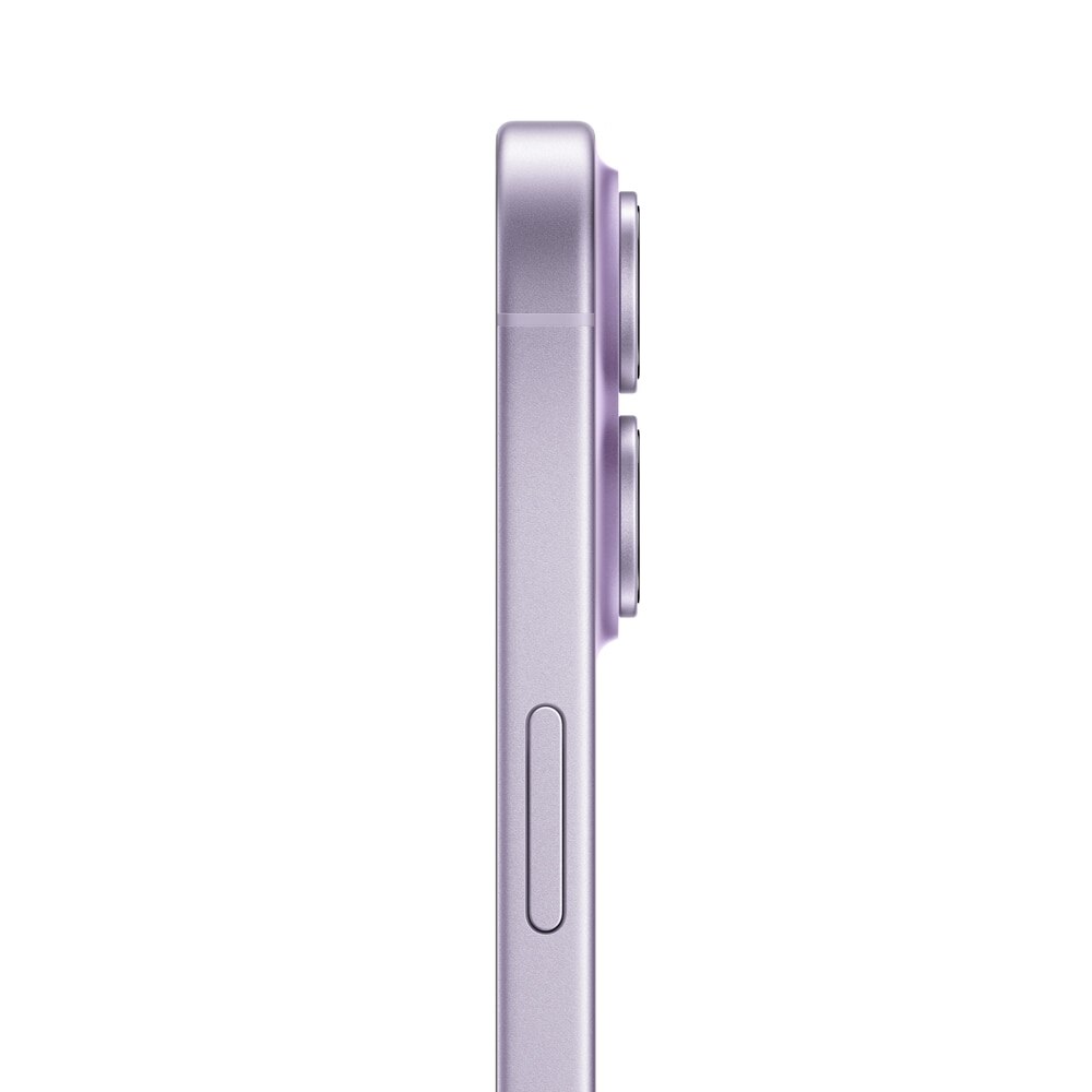 Lavanda